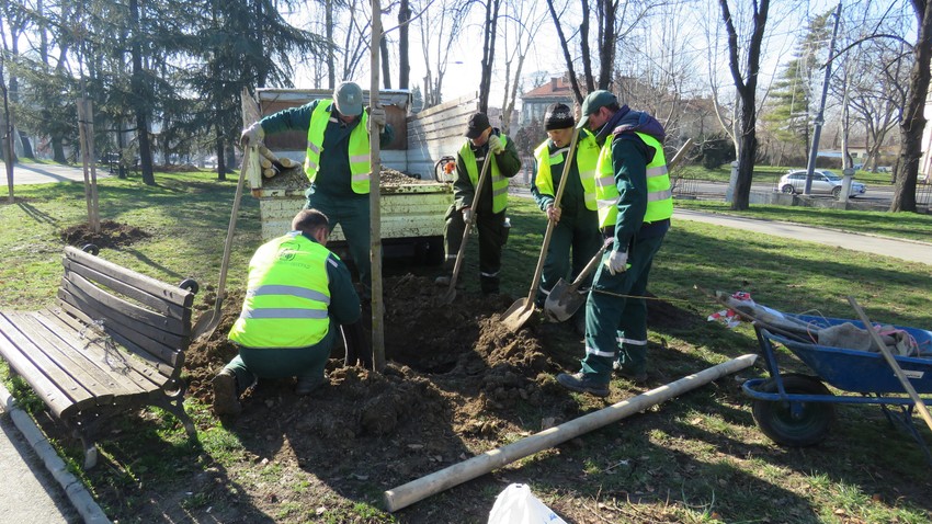 JKP "Zelenilo Beograd"