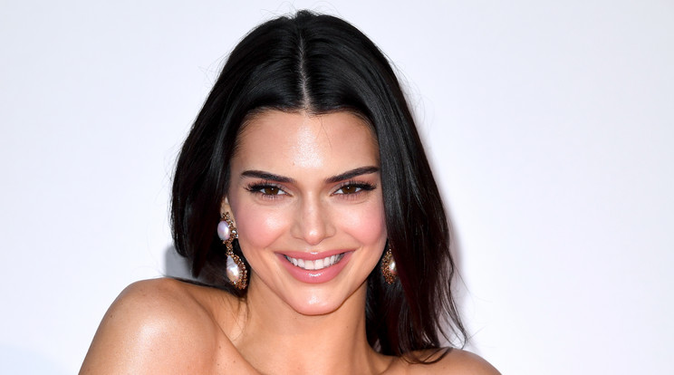 Szexi fehérneműben pózolt Kendall Jenner /Fotó: Northfoto