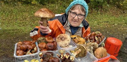 Grzybiarka narzeka na sezon. Za tyle teraz sprzedaje podgrzybki