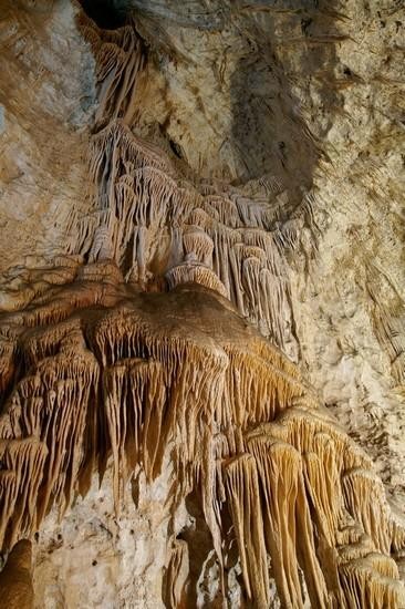 Galeria USA - Carlsbad Caverns, obrazek 20