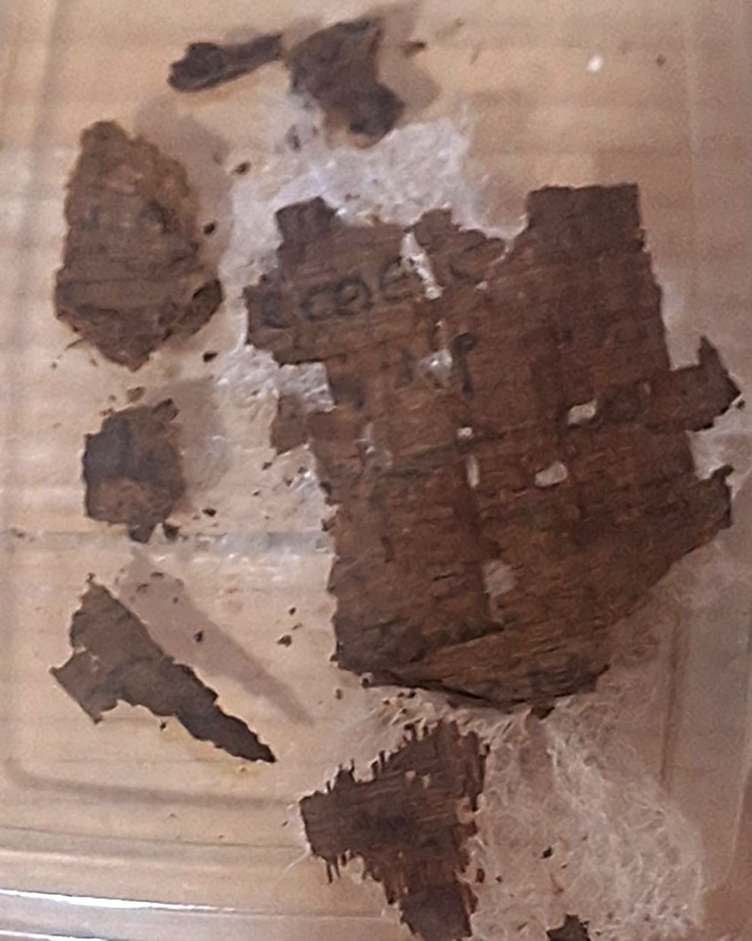 Analiza je pokazala da krhki papirus sadrži odlomke iz drugog pevanja "Ilijade"