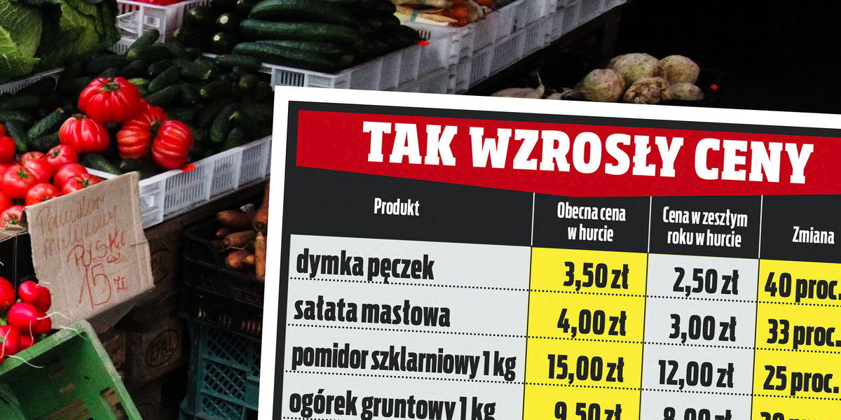 Ceny nowalijek oszalały! W rok wzrosły o 40 procent.