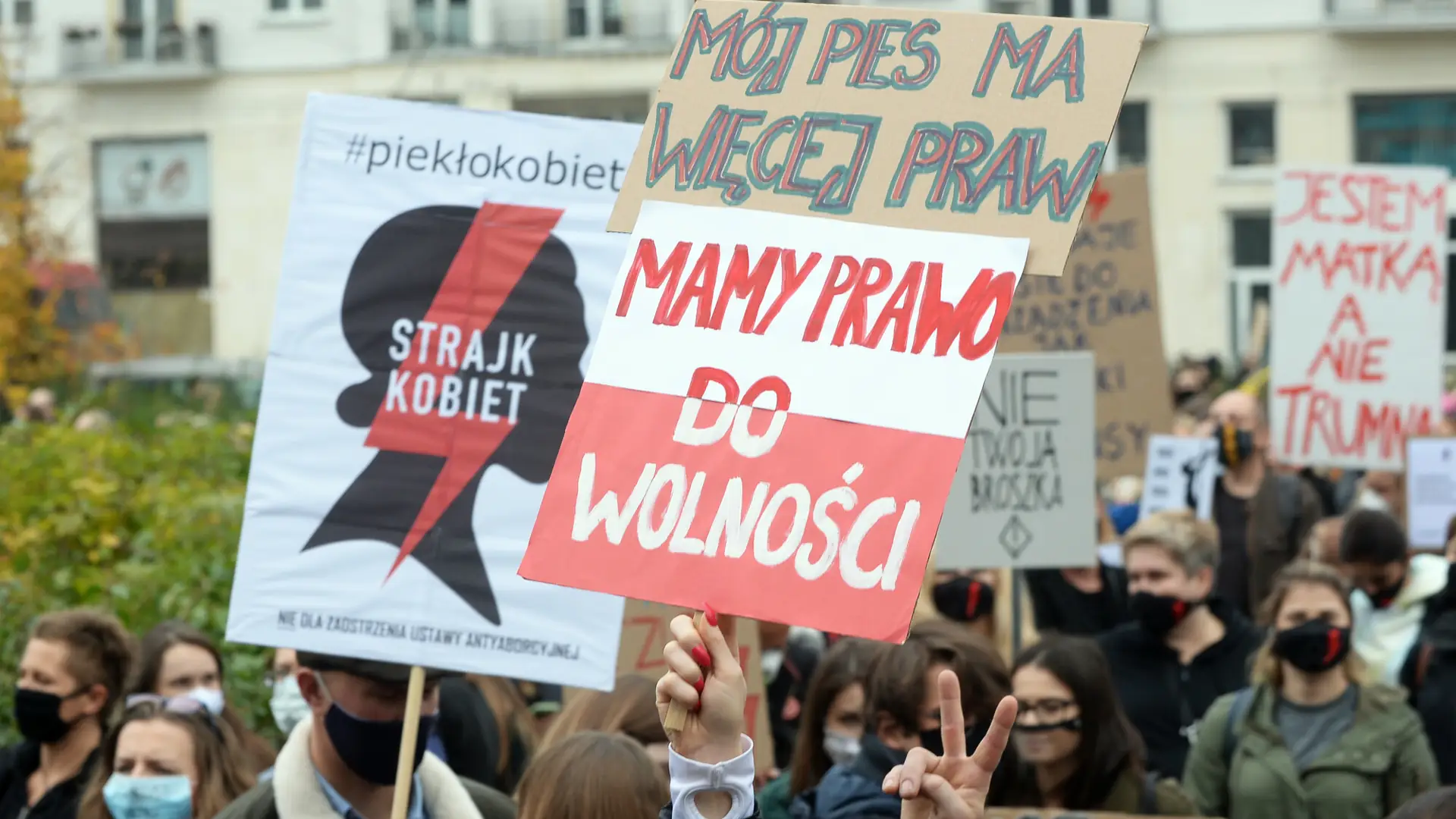 Ordo Iuris będzie dążyć do zakazu rozwodów? "Są obciążeniem dla państwa"