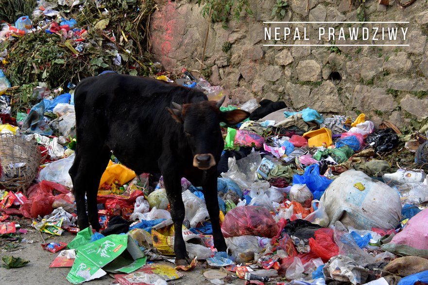 Nepal. Zdjęcie poniżej świątyni...