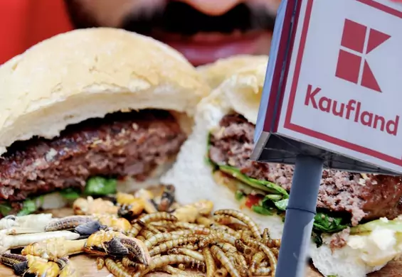 "Świerszcze są pyszne". Kaufland sprzedaje w Polsce jedzenie z owadów
