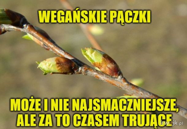 Memy na tłusty czwartek