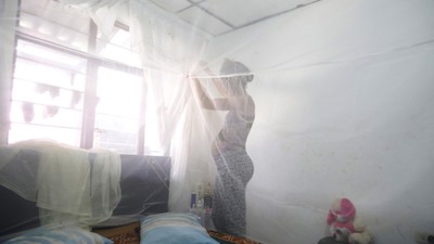 Maribel Gomez, 21, installs a mosquito net over her bed in Cali