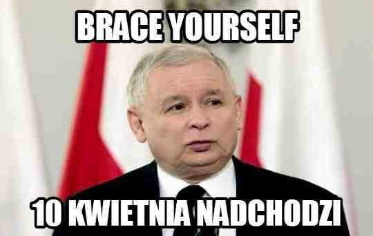 Kto zakłóca spokój Tuska i dlaczego Kaczyński nie chce Niemców? Najlepsze MEMY tygodnia