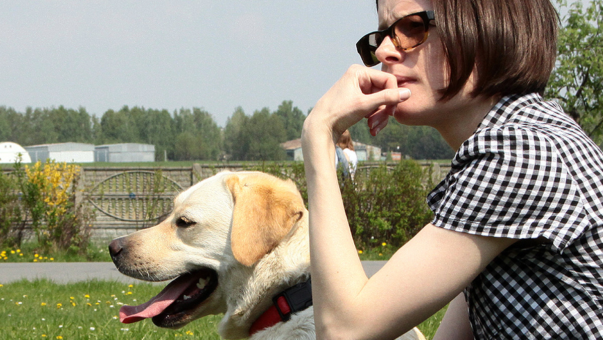 Pefo to biszkoptowy labrador i pierwszy w Polsce pies, który będzie pomagał osobie niepełnosprawnej z dysfunkcją słuchu. Psi asystent został wyszkolony przez Fundację DOGIQ z Katowic.