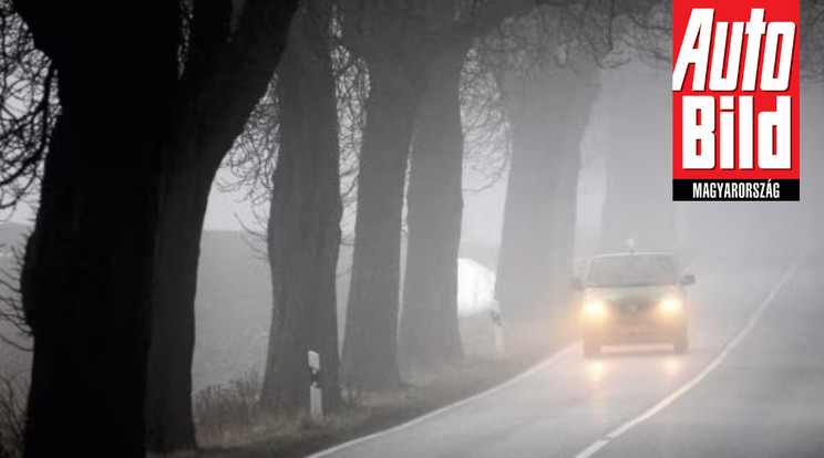 Vezetési tippek köd esetére / Fotó: Auto Bild
