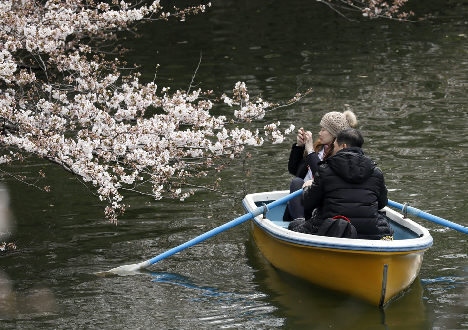 epa06622901 - JAPAN CHERRY BLOSSOMS BLOOM (Cherry blossoms bloom in Tokyo)