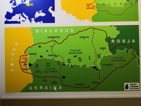 Mapa Polesia w Ośrodku Muzealno-Dydaktycznym PPN