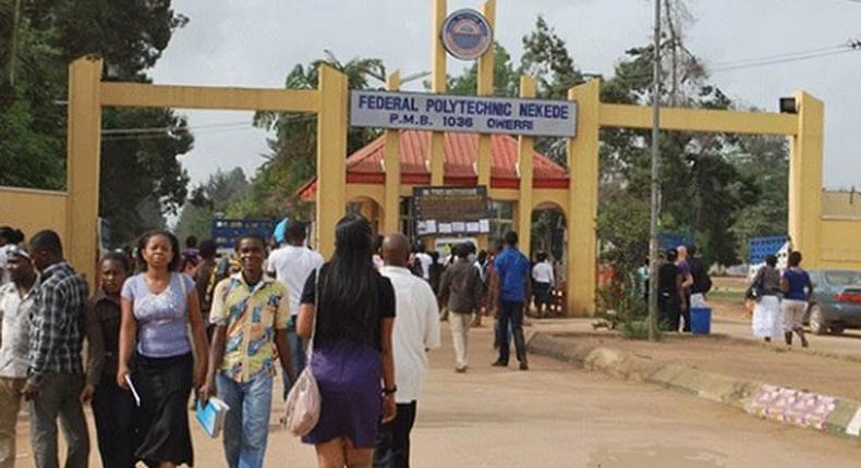 Federal Poly Nekede is now the best Polytechnic in Nigeria.