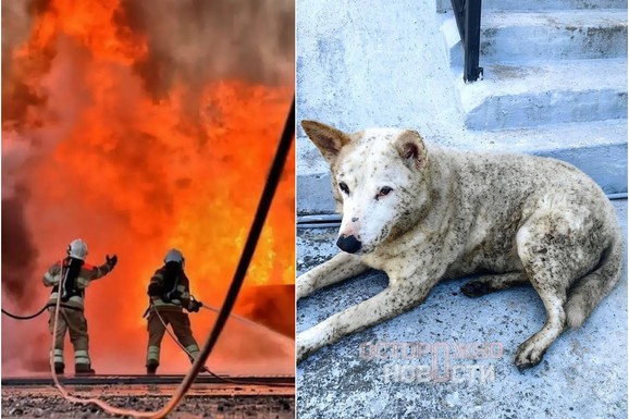 (FOTO, VIDEO) "OVO JE NOVA HIROŠIMA!" Rusi uplašeni i besni na Putina, CRNA KIŠA PREKRILA GRAD: "Sve je ZATROVANO, zemlja, voda i vazduh"