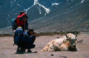 Za setkami wspinaczy, koczujących długie tygodnie w bazie pod Everestem podążają tysiące turystów, pragnących zbliżyć się najwyższej góry świata.