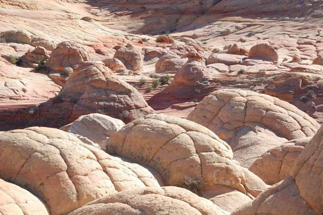 Galeria USA - Coyote Buttes - skamieniałe wydmy, obrazek 13