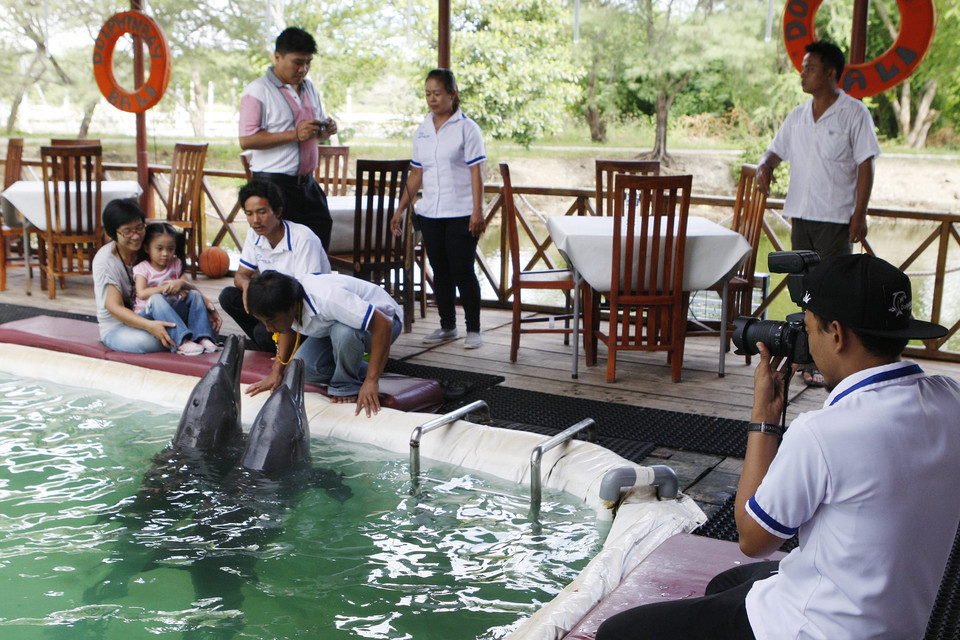 Delfiny atrakcją restauracji na Bali. Minister apeluje