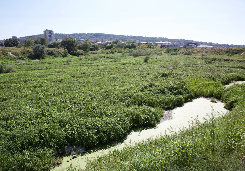Mesto gde se uliva Mirijevski potok