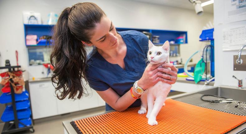 Feline immunodeficiency virus is common in cats.Peter M. Fisher/Getty Images