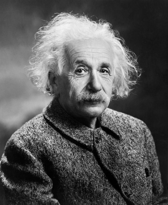 Znani wegetarianie: Albert Einstein