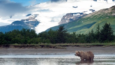 Alaska – ogromna lodówka Sewarda