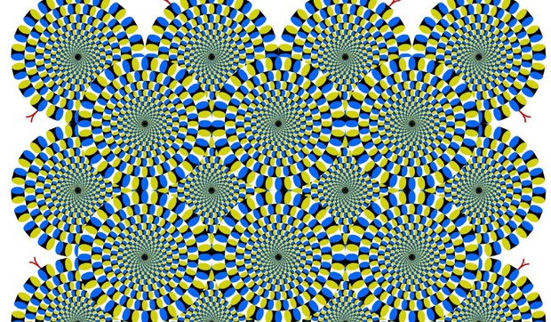 501389_profimedia0200589148