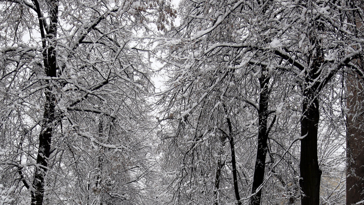 Synoptycy ostrzegają - będzie ślisko! W nocy w całym kraju temperatura spadnie poniżej zera, powodując zamarzanie nawierzchni dróg i chodników. Nie przewiduje się natomiast tak obfitych jak wczoraj i dziś opadów śniegu.