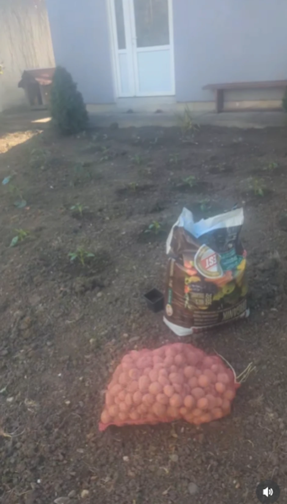 Zorica Marković pokazala imanje