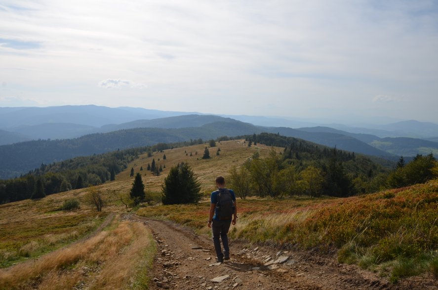 Beskid Wyspowy. Polana Stumorgowa - żółty szlak w kierunku Jasienia. 