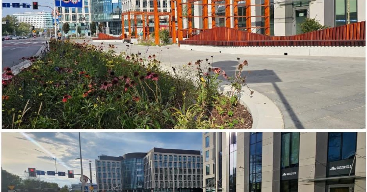 Tak Wrocław gra w zielone. Poszło na to 25 mln zł! Są efekty...