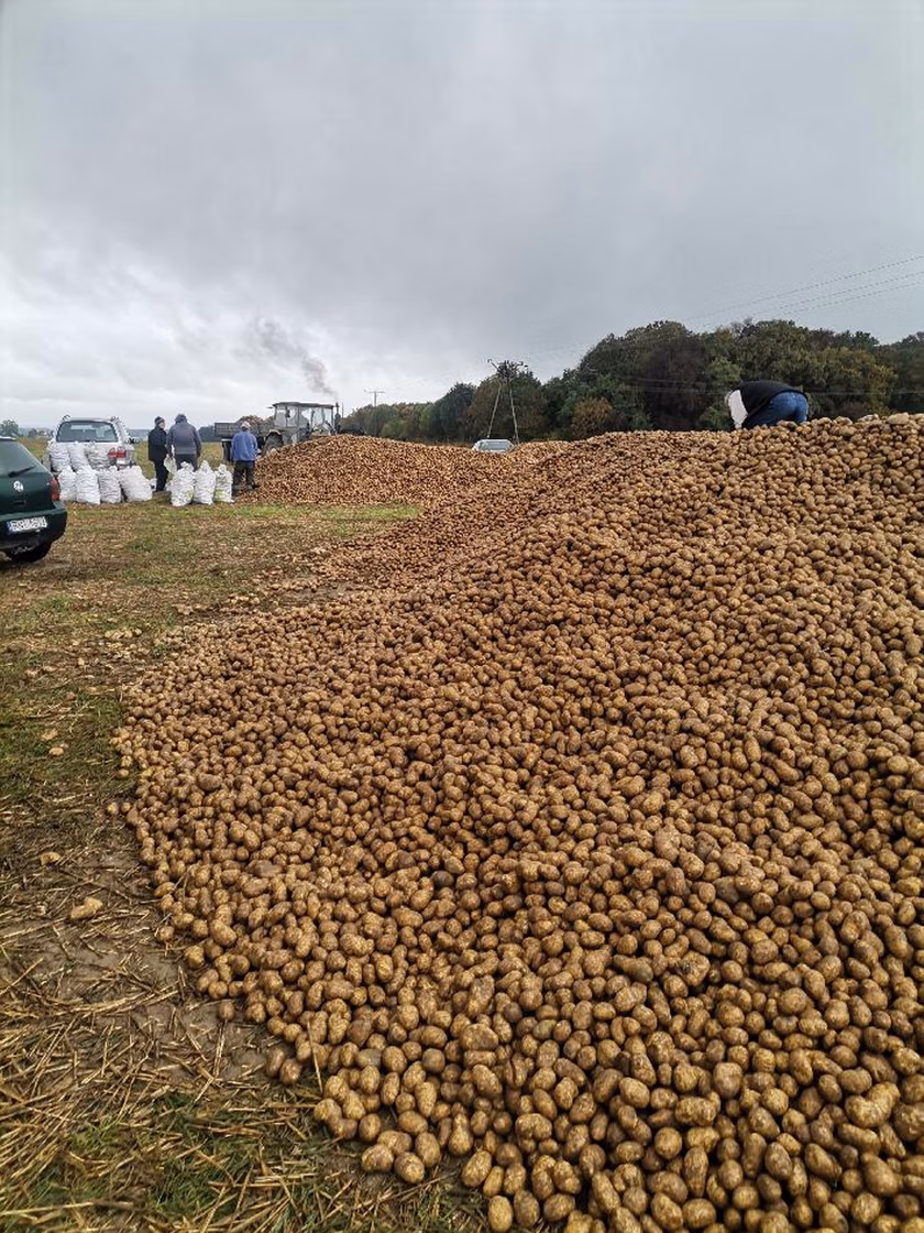 f-_k9kuTURBXy8zMDJmMmNkMi01NmQ1LTRkMWEtY