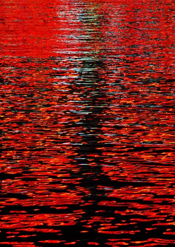 fot. Elżbieta Dzikowska