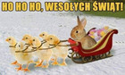 Memy o świętach wielkanocnych