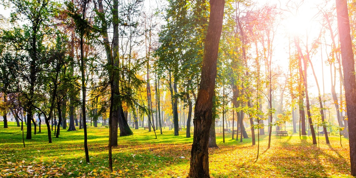 W czwartek temperatura do 23 stopni na zachodzie kraju.