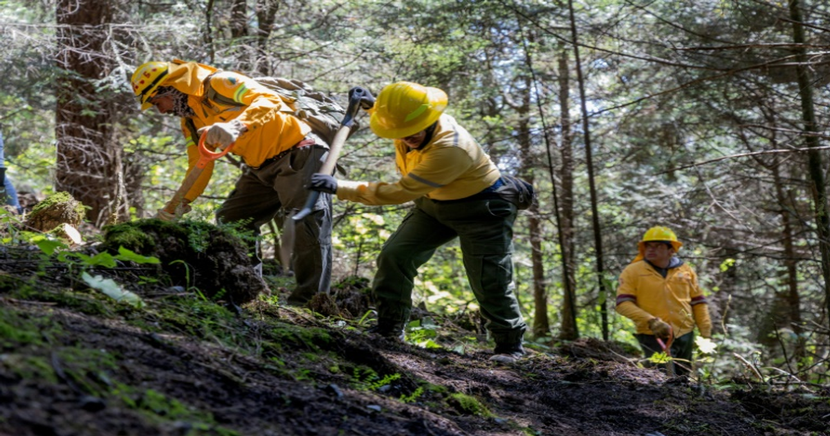 Opération massive au Mexique : 150 corps de disparus recherchés