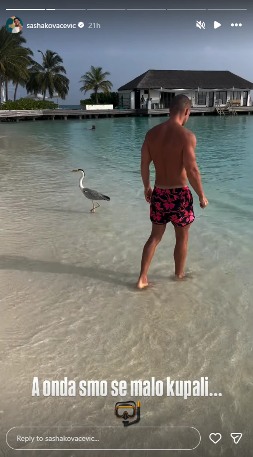 Avantura Saše Kovačevića i sive čaplje