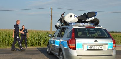 Uciekał policji i odfrunął! Wylądował na radiowozie!