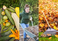 To musisz zrobić w październiku w ogrodzie. Odwdzięczy ci się wiosną [LISTA ZADAŃ]