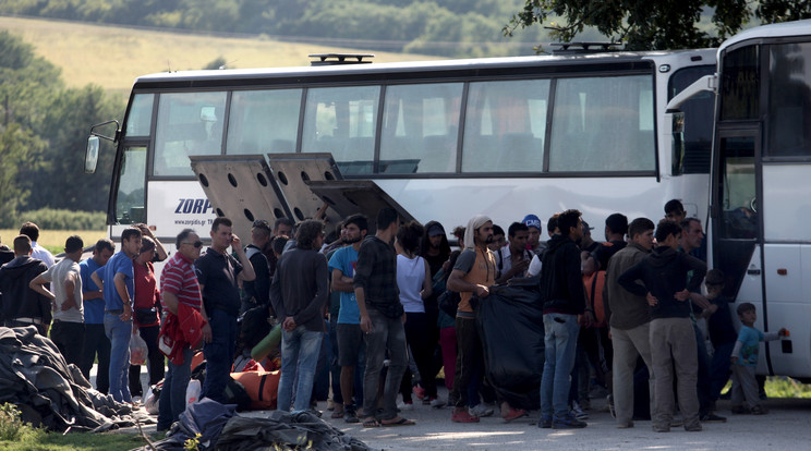 Idomeni migránstábor kiürítése / Fotó: AFP