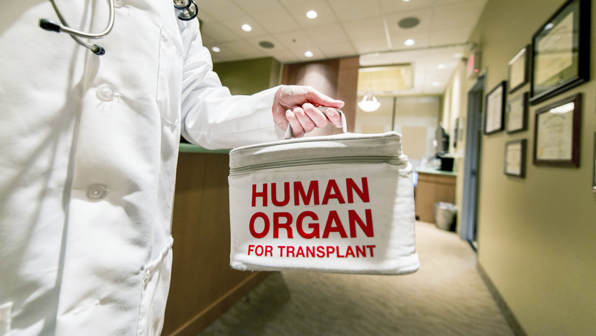 Serce, mózg, macica... Ile kosztują ludzkie organy na czarnym rynku?