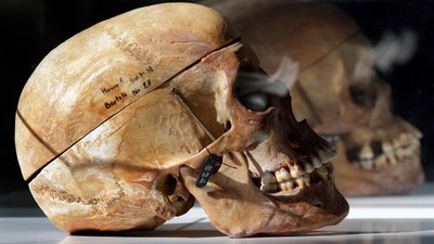 DNA of skulls pillaged by Germans have been linked to living relatives in Tanzania