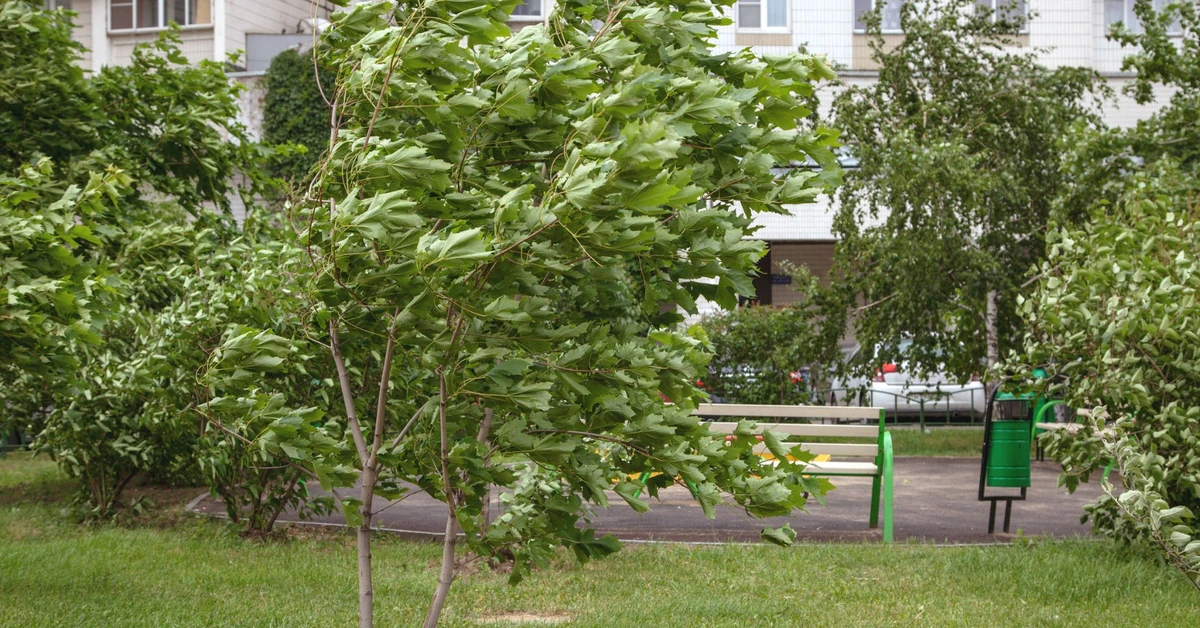 Potężne burze nad Polską. IMGW wydał ostrzeżenia dla 11 województw
