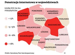 Jak wygląda mapa Polski z dostępem do internetu? Wielka biała plama z nielicznymi wyspami