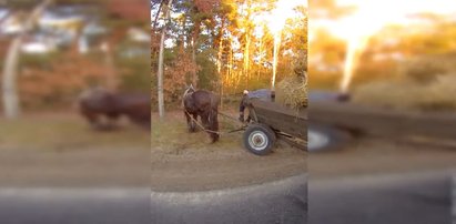 Jak u Barei! Policjant kazał mu zejść z furmanki zagradzającej drogę i... Woźnica był w strasznym stanie. Potrzebował podpory, by iść. Samodzielnie szedłby jak jego koń. Na czworaka [FILM]