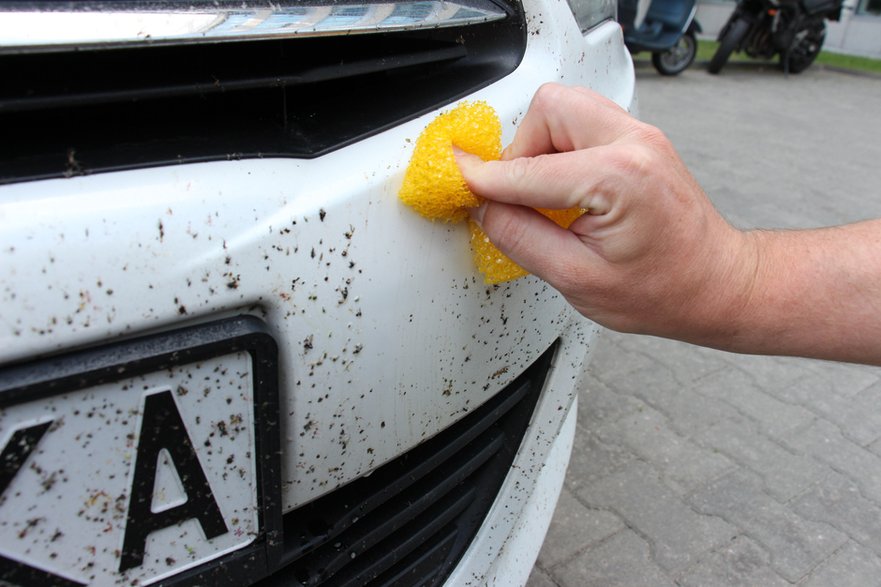 Specjalny zmywak do usuwania owadów – może być (ale delikatnie!), natomiast zmywak kuchenny jest absolutnie wykluczony – silnie rysuje lakier