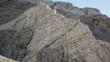 sensacyjne odkrycie. znaleziono wielką dolinę dinozaurów