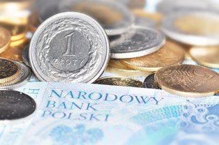 Euro po 5,5 zł? Jest komentarz ministra finansów