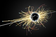 Particle Collision and Blackhole in LHC (Large Hadron Collider)