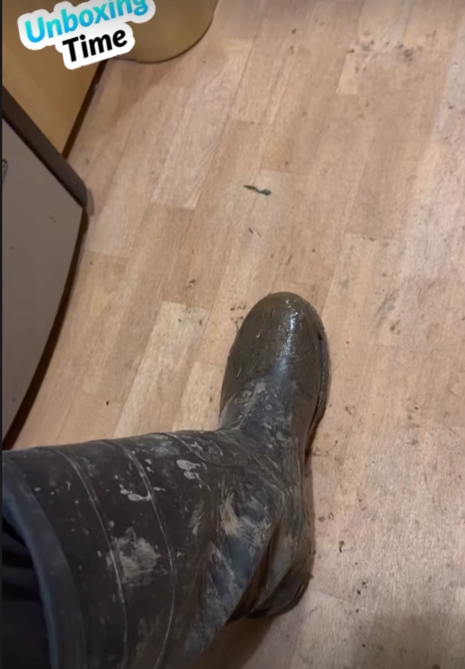  Aleksandar Radojičić, objava