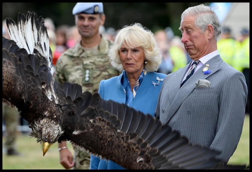 Princ kaže da se ubuduće neće približavati maskoti vojnog vazduhoplovstva